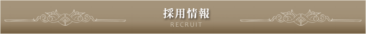 採用情報
